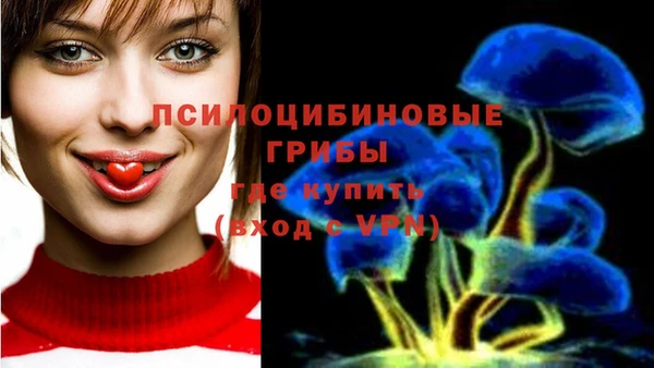 марки lsd Алексин