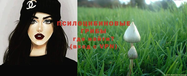 прущие крисы Алзамай