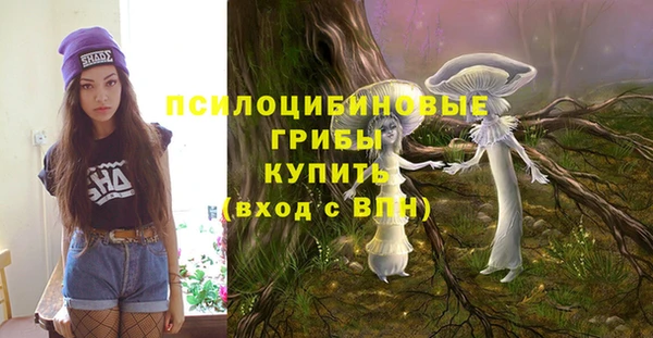 прущие крисы Алзамай